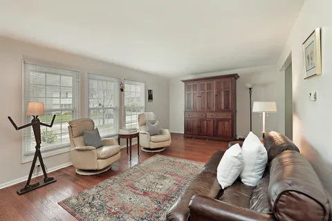 a living room with furniture rug and wooden floor