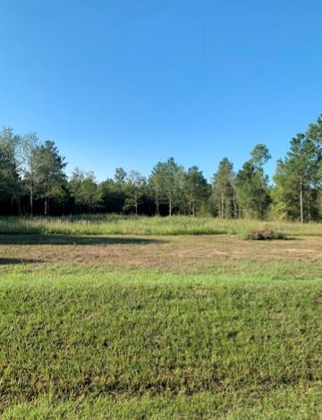704 Sunrise Rdg Road Waynesboro, GA 30830 - Photo 1 of 1