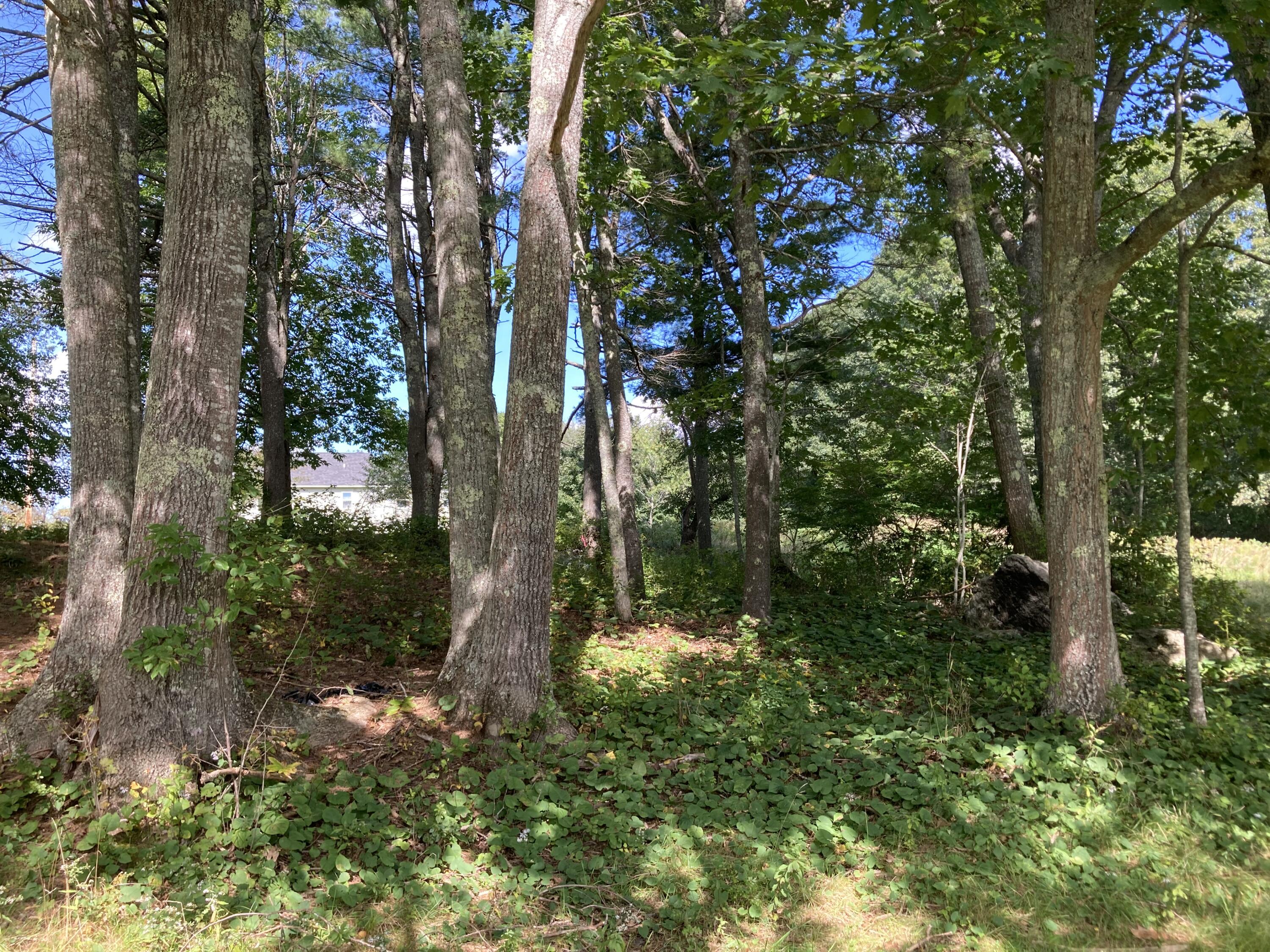 0 Surry Road Surry, ME 04684 - Photo 18 of 52 IMG_2742