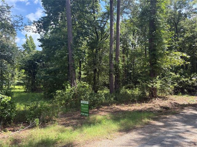 34 Aycock Road Deville, LA 71328 - Photo 11 of 13