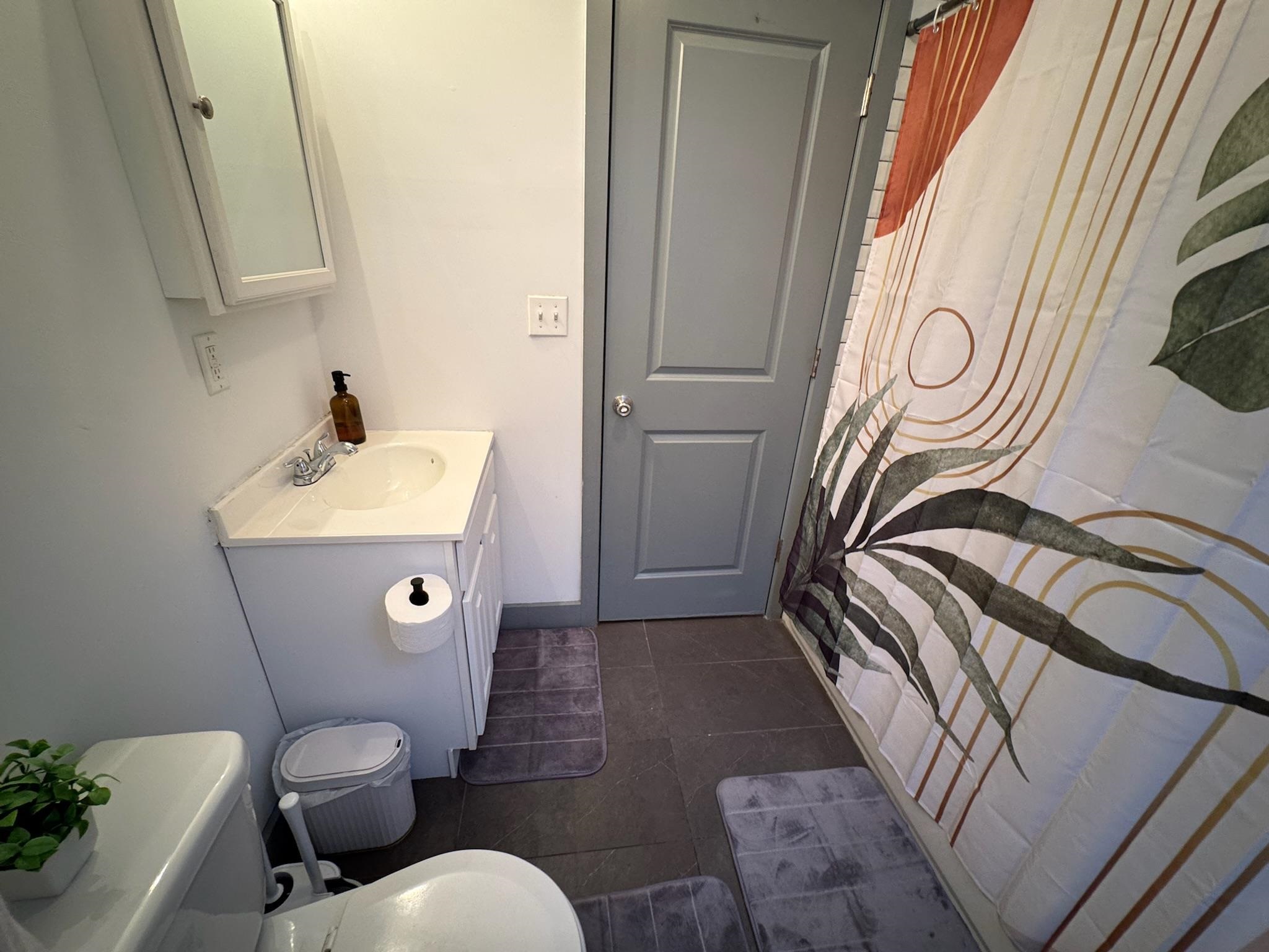 157 Bidwell Avenue, Unit 2 Jersey City, NJ 07305 - Photo 20 of 34 a bathroom with a sink a toilet and a mirror