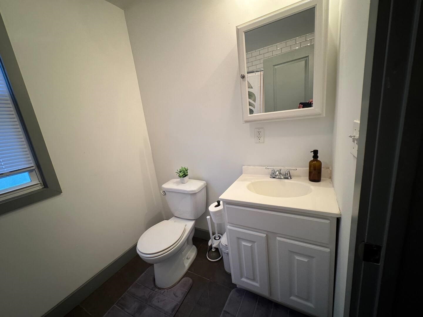 157 Bidwell Avenue, Unit 2 Jersey City, NJ 07305 - Photo 30 of 34 a white toilet sitting next to a bathroom sink