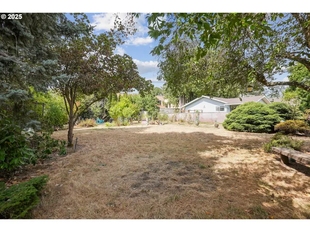 a view of small yard with large trees