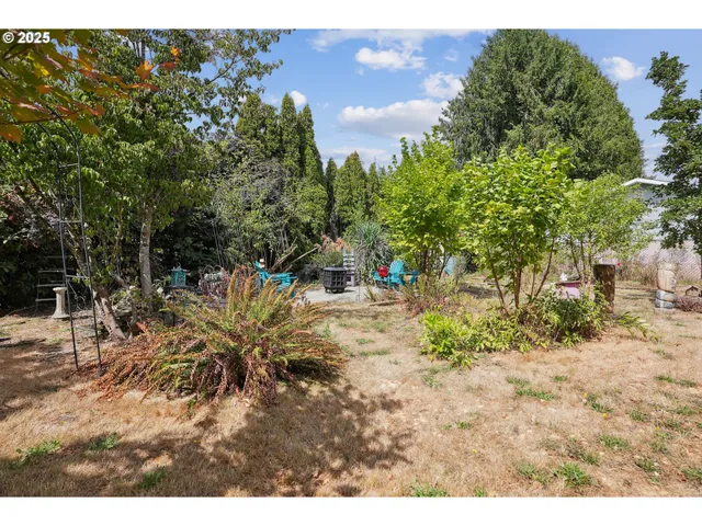 a view of outdoor space and yard