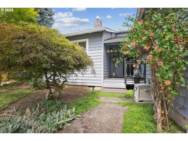 a view of a backyard with a garden and plants