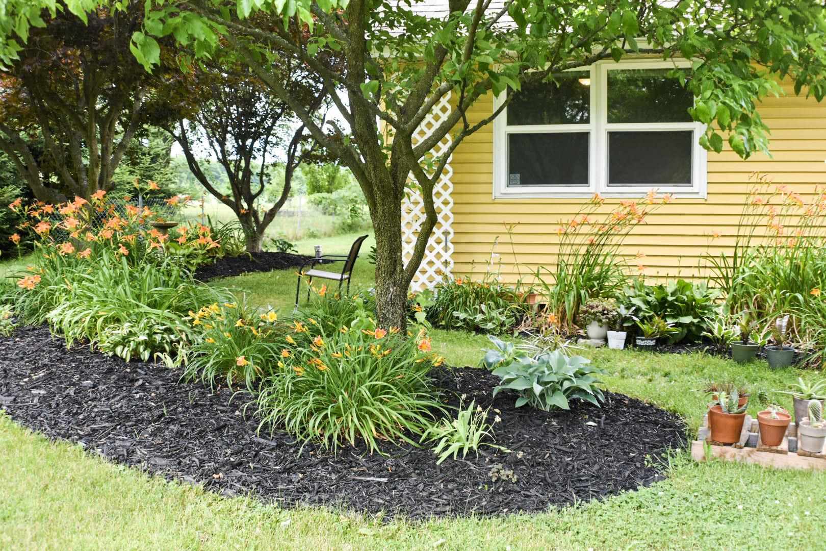 32091 State Road New Carlisle, IN 46552 - Photo 6 of 22 Gallery Image 6