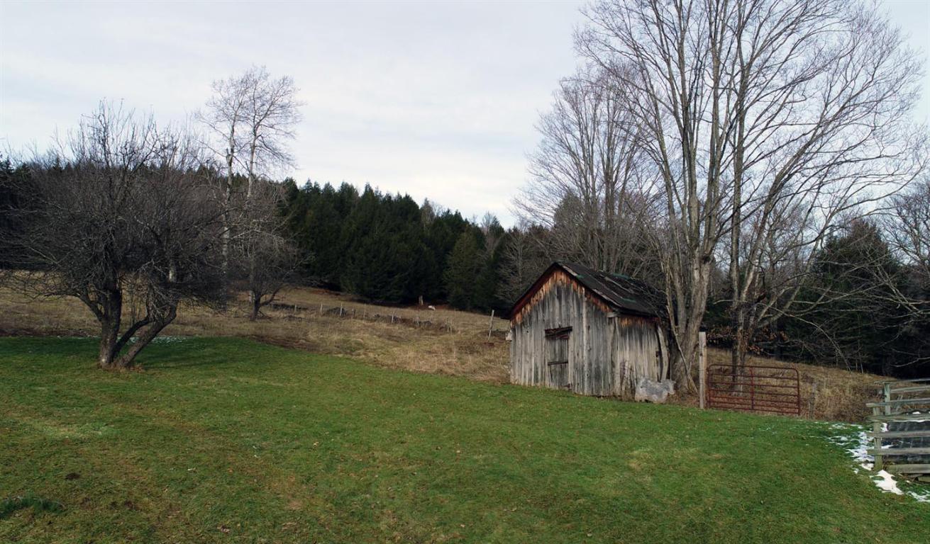 184 Campo Road Jefferson, NY 12093 - Photo 24 of 54