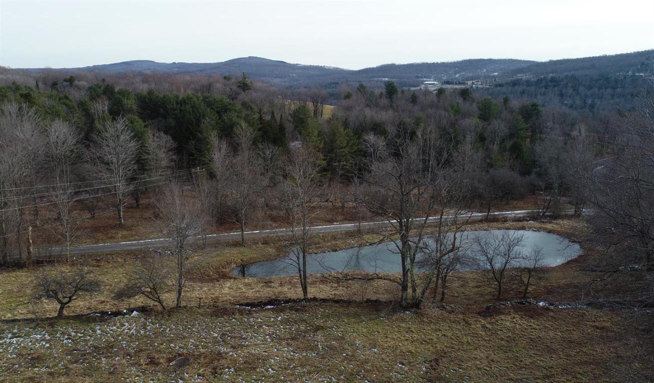 184 Campo Road Jefferson, NY 12093 - Photo 26 of 54