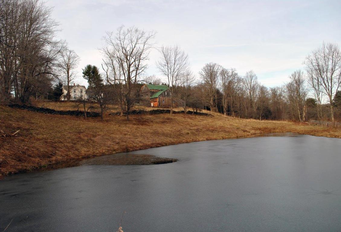 184 Campo Road Jefferson, NY 12093 - Photo 27 of 54