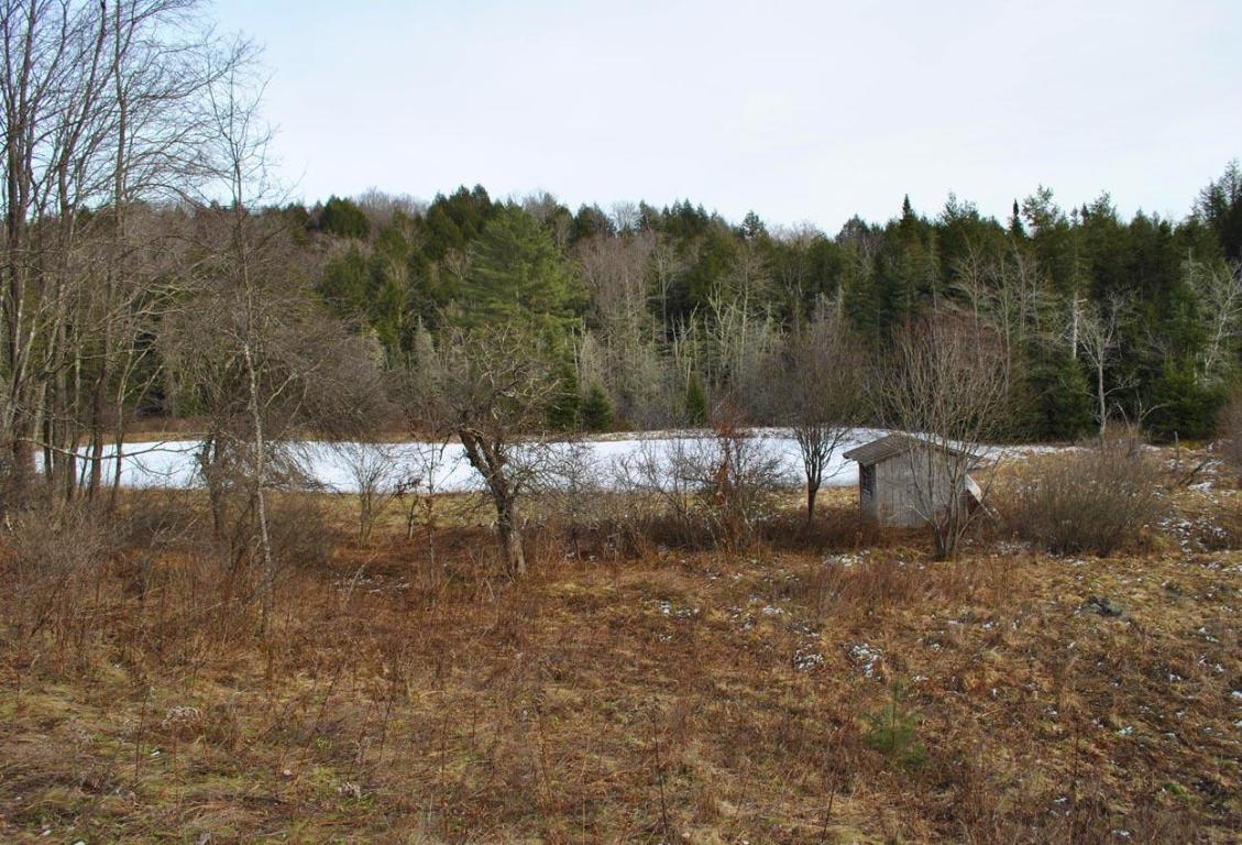 184 Campo Road Jefferson, NY 12093 - Photo 28 of 54