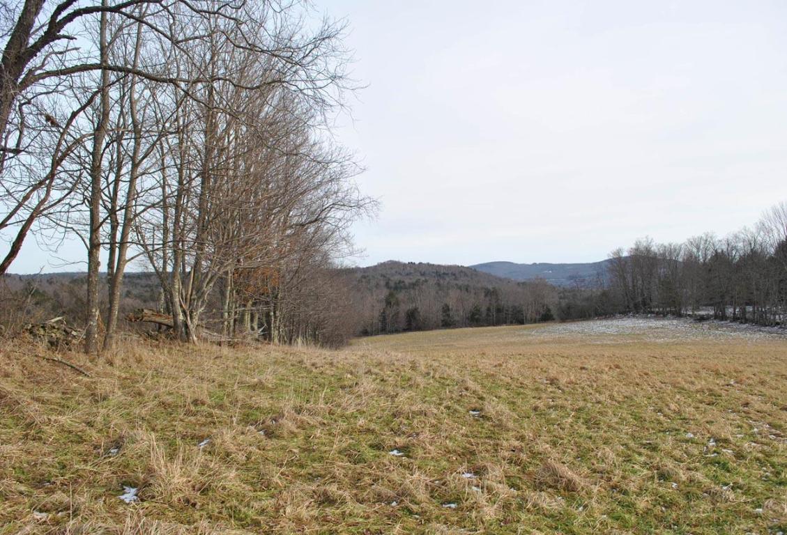 184 Campo Road Jefferson, NY 12093 - Photo 29 of 54