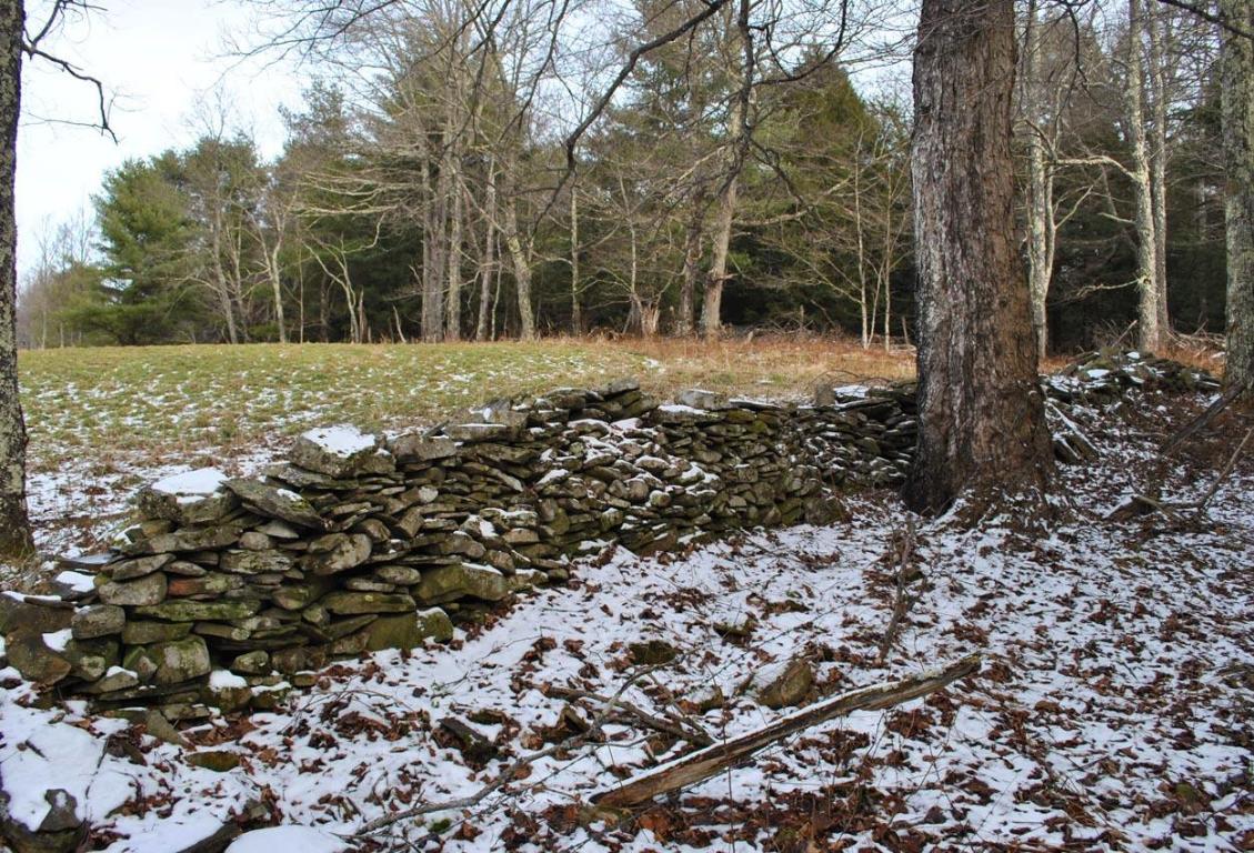 184 Campo Road Jefferson, NY 12093 - Photo 30 of 54