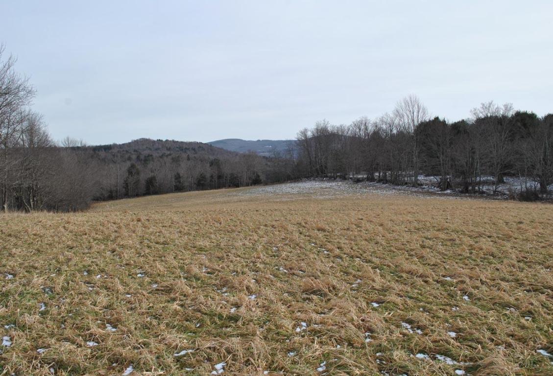 184 Campo Road Jefferson, NY 12093 - Photo 31 of 54