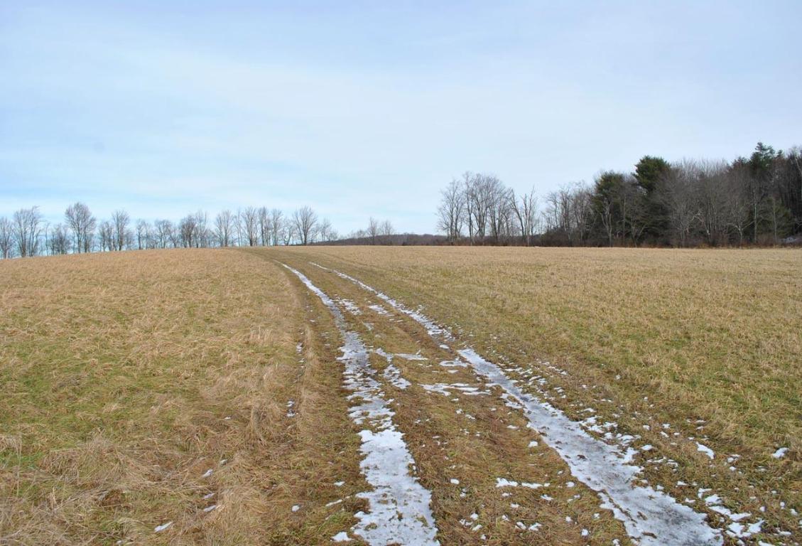 184 Campo Road Jefferson, NY 12093 - Photo 32 of 54