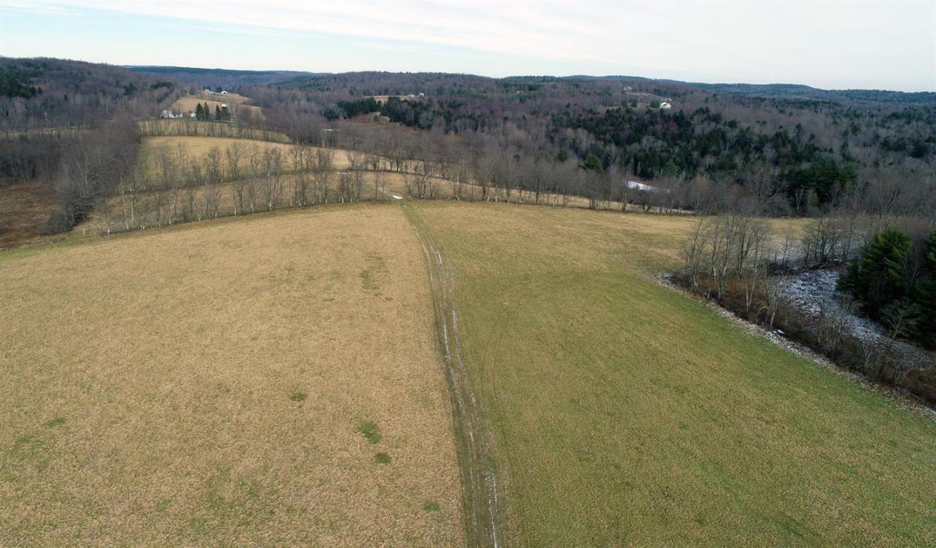 184 Campo Road Jefferson, NY 12093 - Photo 33 of 54