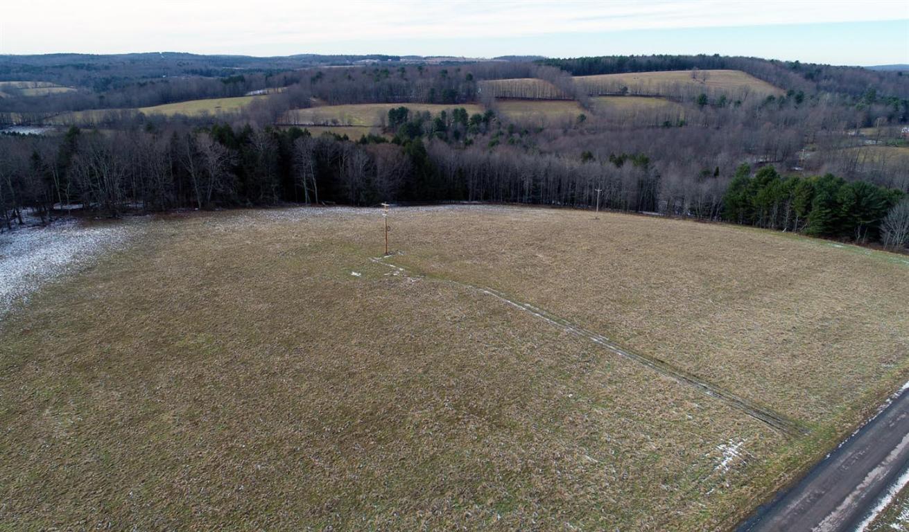 184 Campo Road Jefferson, NY 12093 - Photo 35 of 54