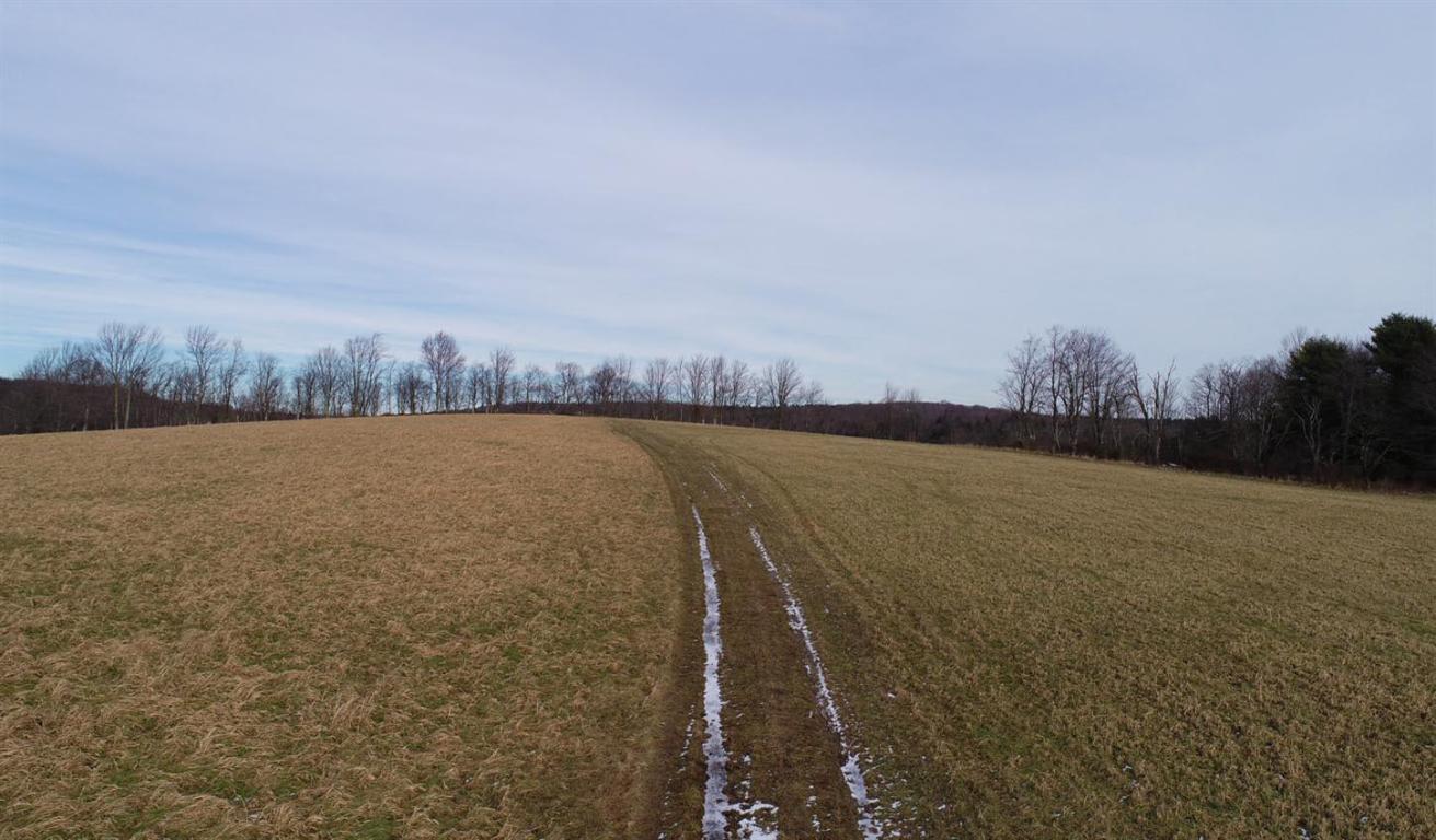 184 Campo Road Jefferson, NY 12093 - Photo 36 of 54