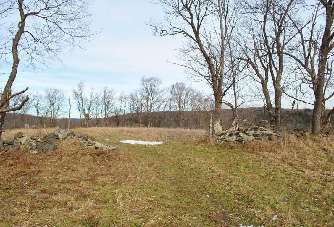 184 Campo Road Jefferson, NY 12093 - Photo 37 of 54