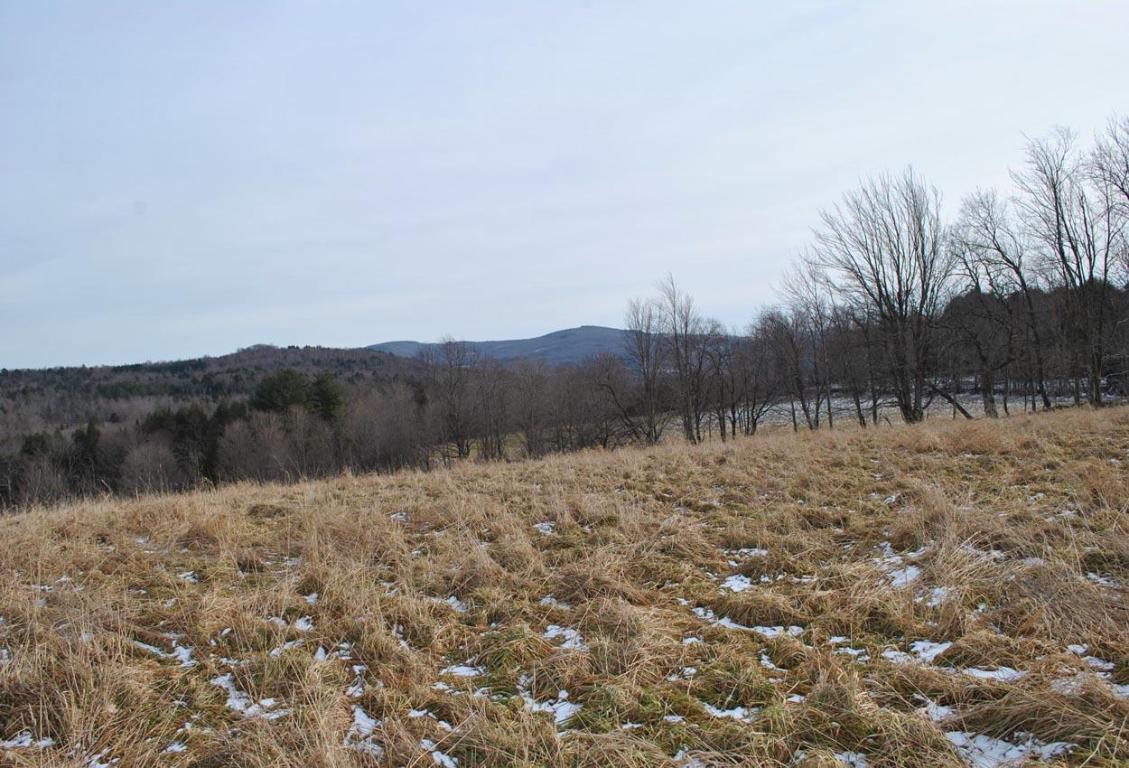 184 Campo Road Jefferson, NY 12093 - Photo 38 of 54