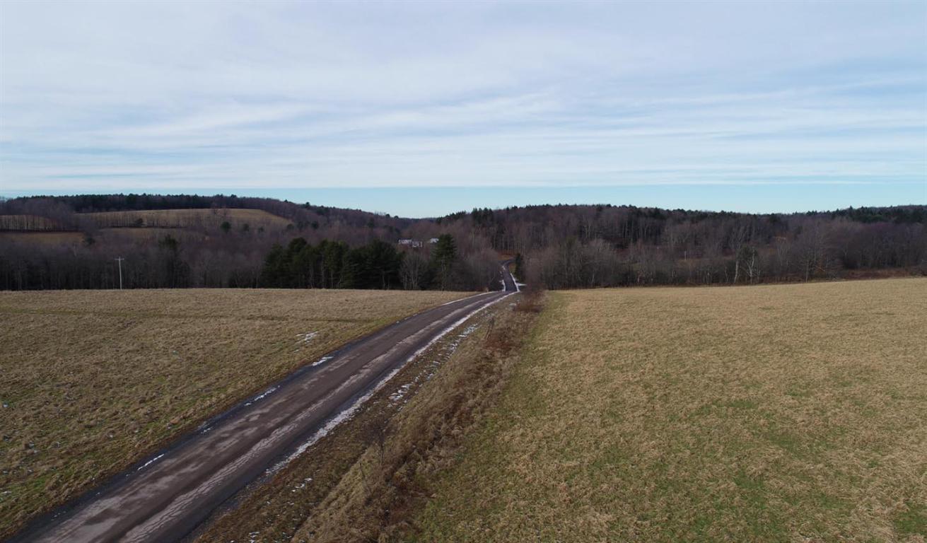 184 Campo Road Jefferson, NY 12093 - Photo 39 of 54