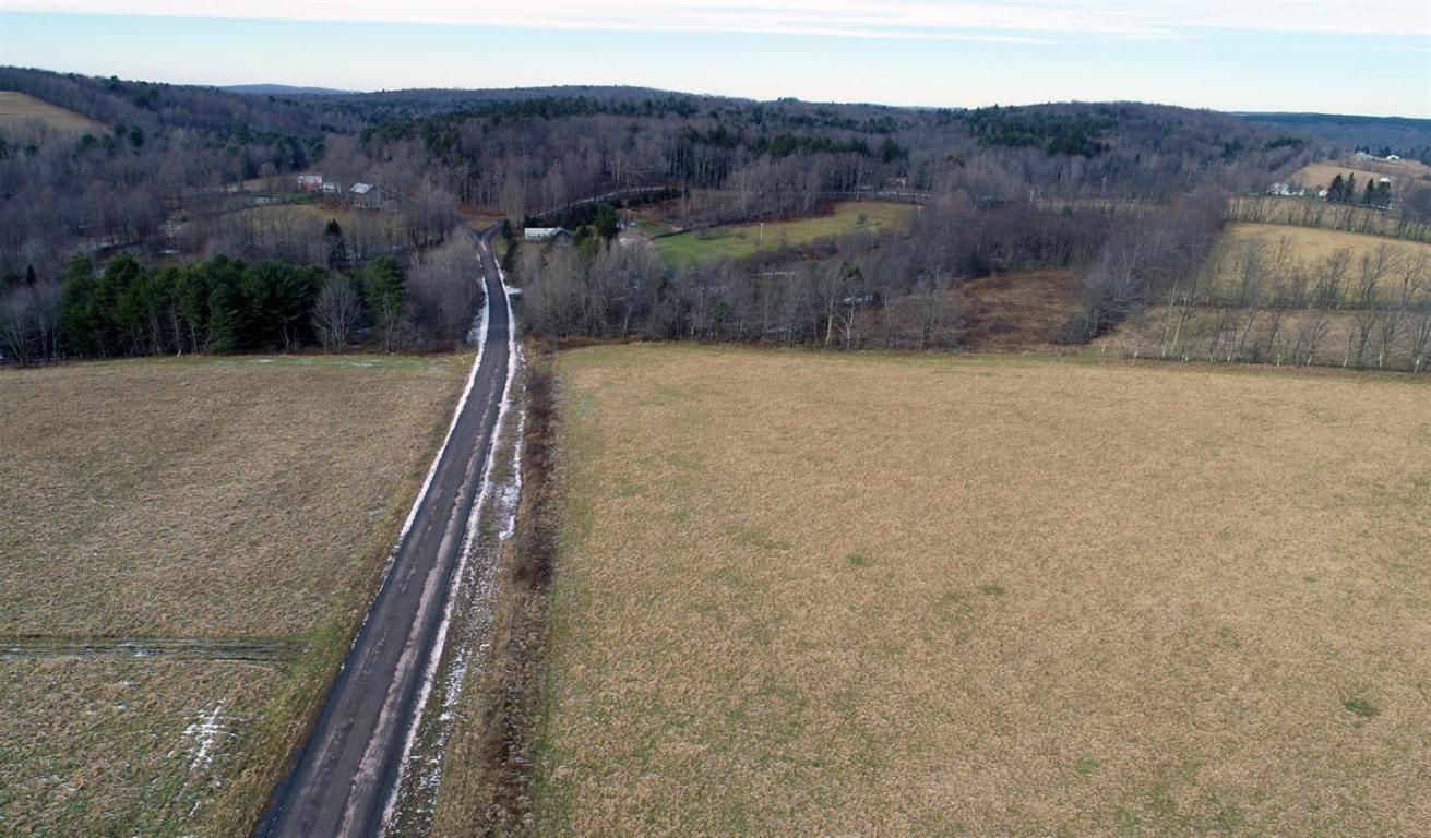 184 Campo Road Jefferson, NY 12093 - Photo 40 of 54