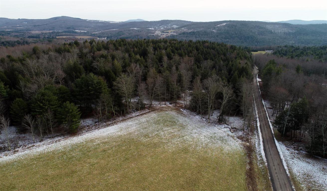 184 Campo Road Jefferson, NY 12093 - Photo 41 of 54