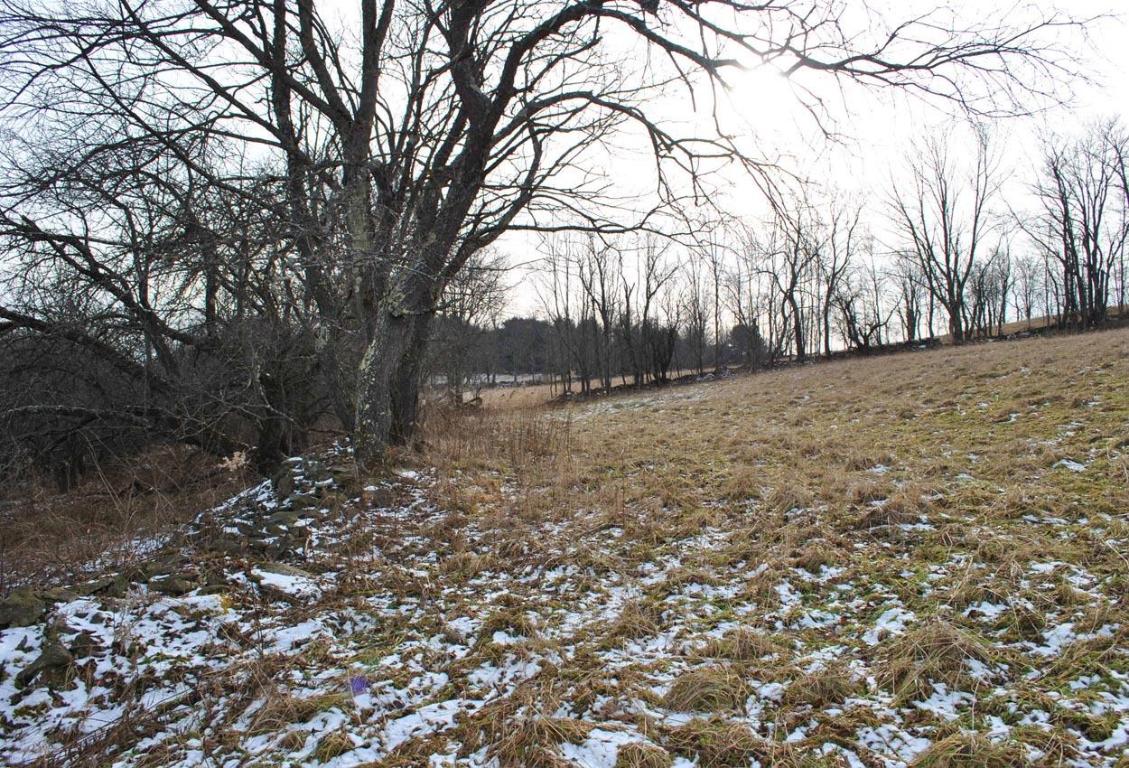 184 Campo Road Jefferson, NY 12093 - Photo 43 of 54