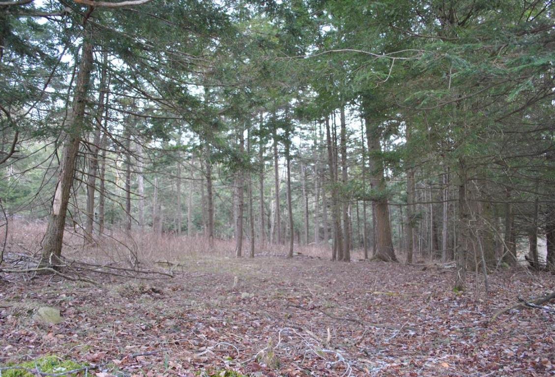 184 Campo Road Jefferson, NY 12093 - Photo 44 of 54