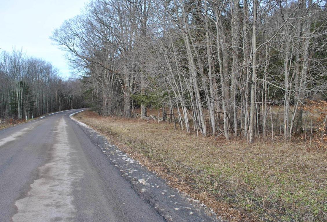 184 Campo Road Jefferson, NY 12093 - Photo 46 of 54