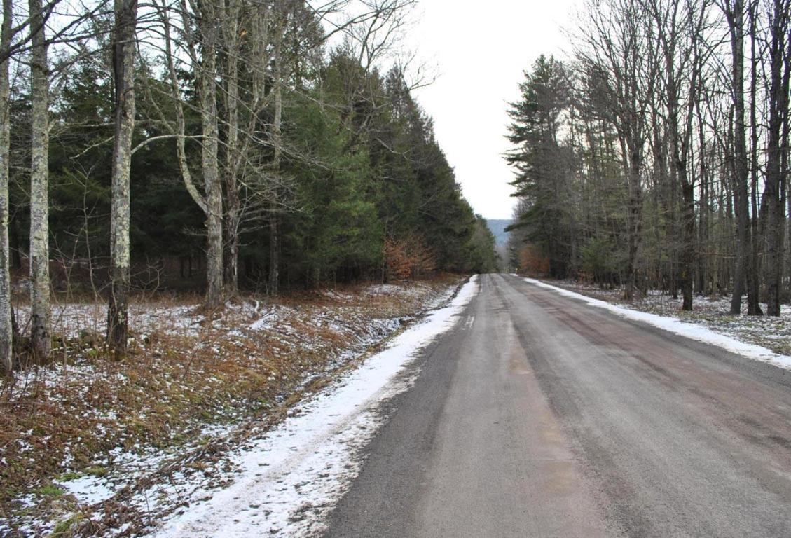 184 Campo Road Jefferson, NY 12093 - Photo 47 of 54