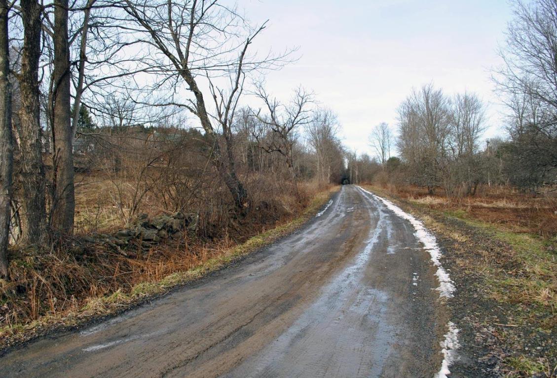 184 Campo Road Jefferson, NY 12093 - Photo 48 of 54