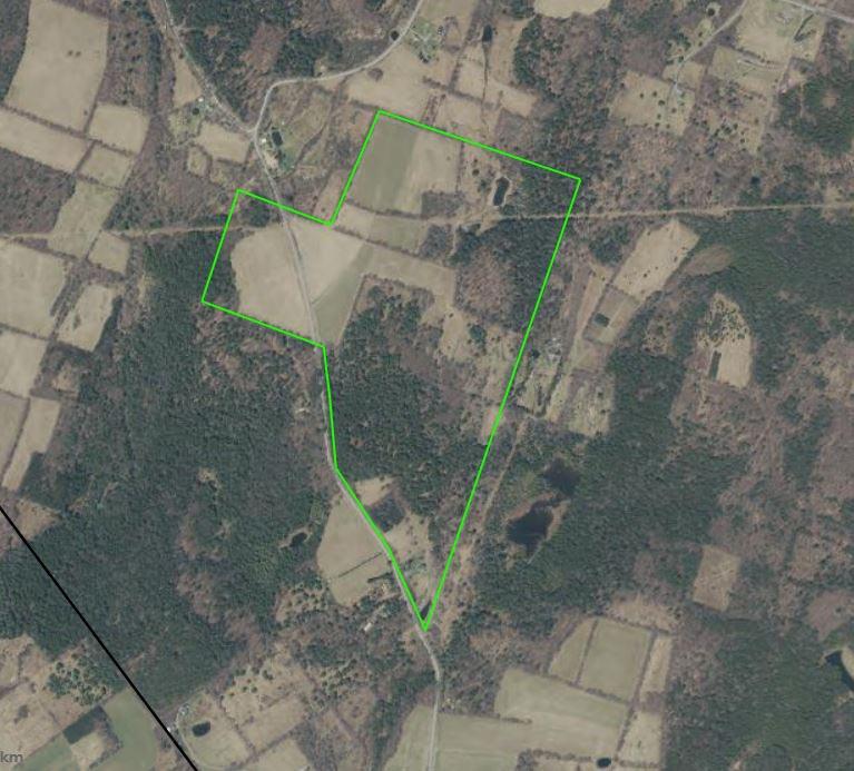 184 Campo Road Jefferson, NY 12093 - Photo 49 of 54