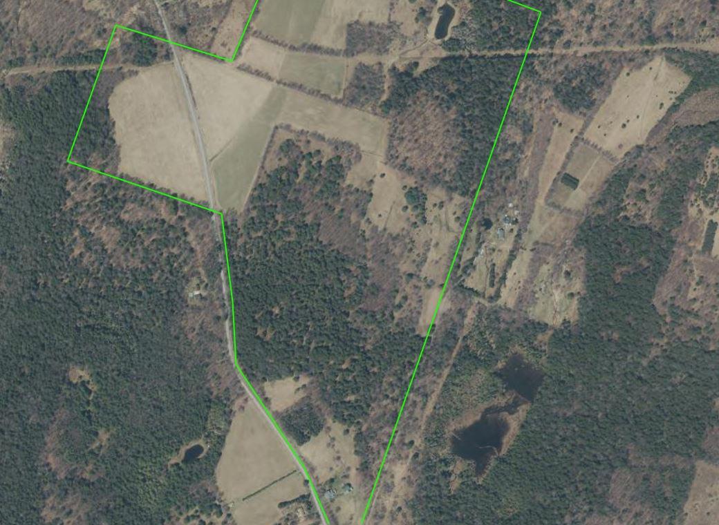 184 Campo Road Jefferson, NY 12093 - Photo 50 of 54