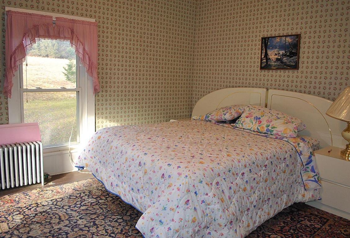 184 Campo Road Jefferson, NY 12093 - Photo 9 of 54