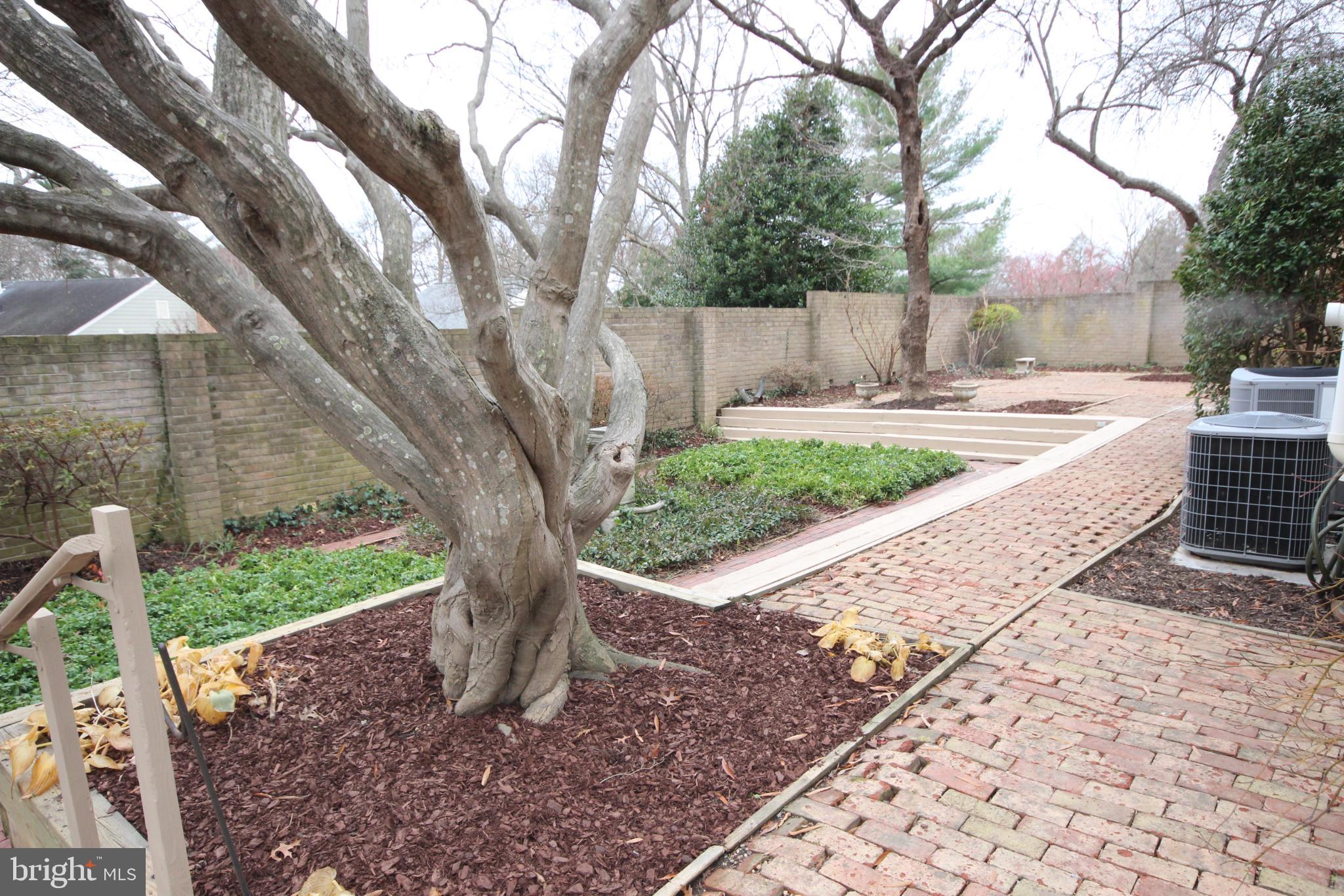 19115 Roman Way Montgomery Village, MD 20886 - Photo 54 of 67 Serene garden retreat with mature trees.