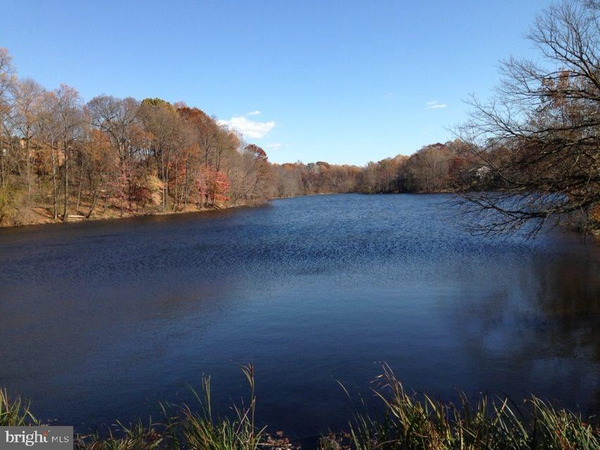 19115 Roman Way Montgomery Village, MD 20886 - Photo 60 of 67 a view of a lake in middle of forest