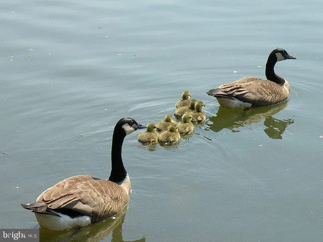 $774,900 | 19115 Roman Way, Montgomery Village, MD 20886