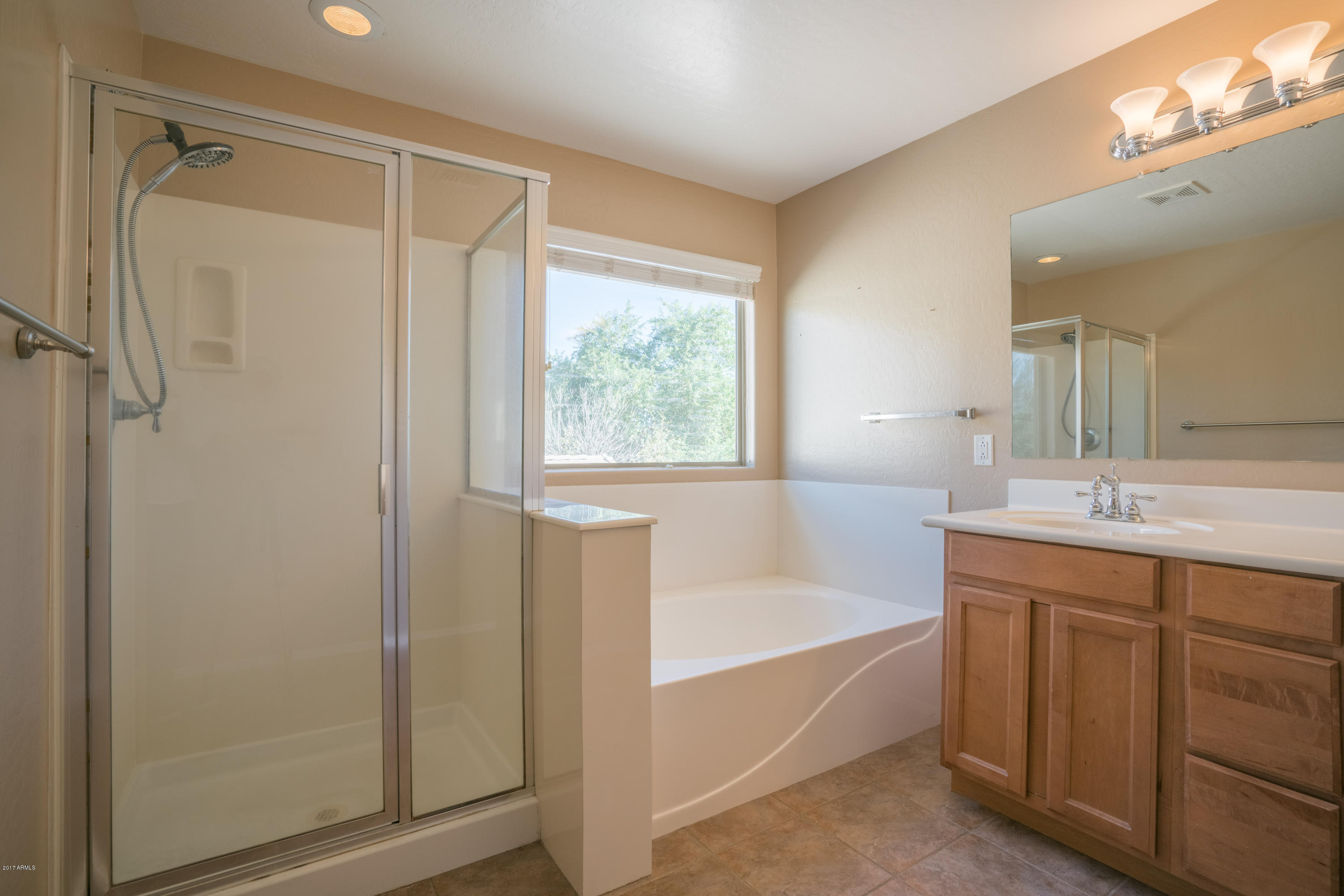 13654 West Redfield Road Surprise, AZ 85379 - Photo 18 of 34 DTC00038-HDR