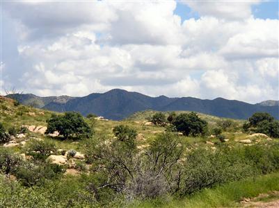 0 Lot 48 Salero Ranch, Unit 1 Tubac, AZ 85646 - Photo 1 of 6