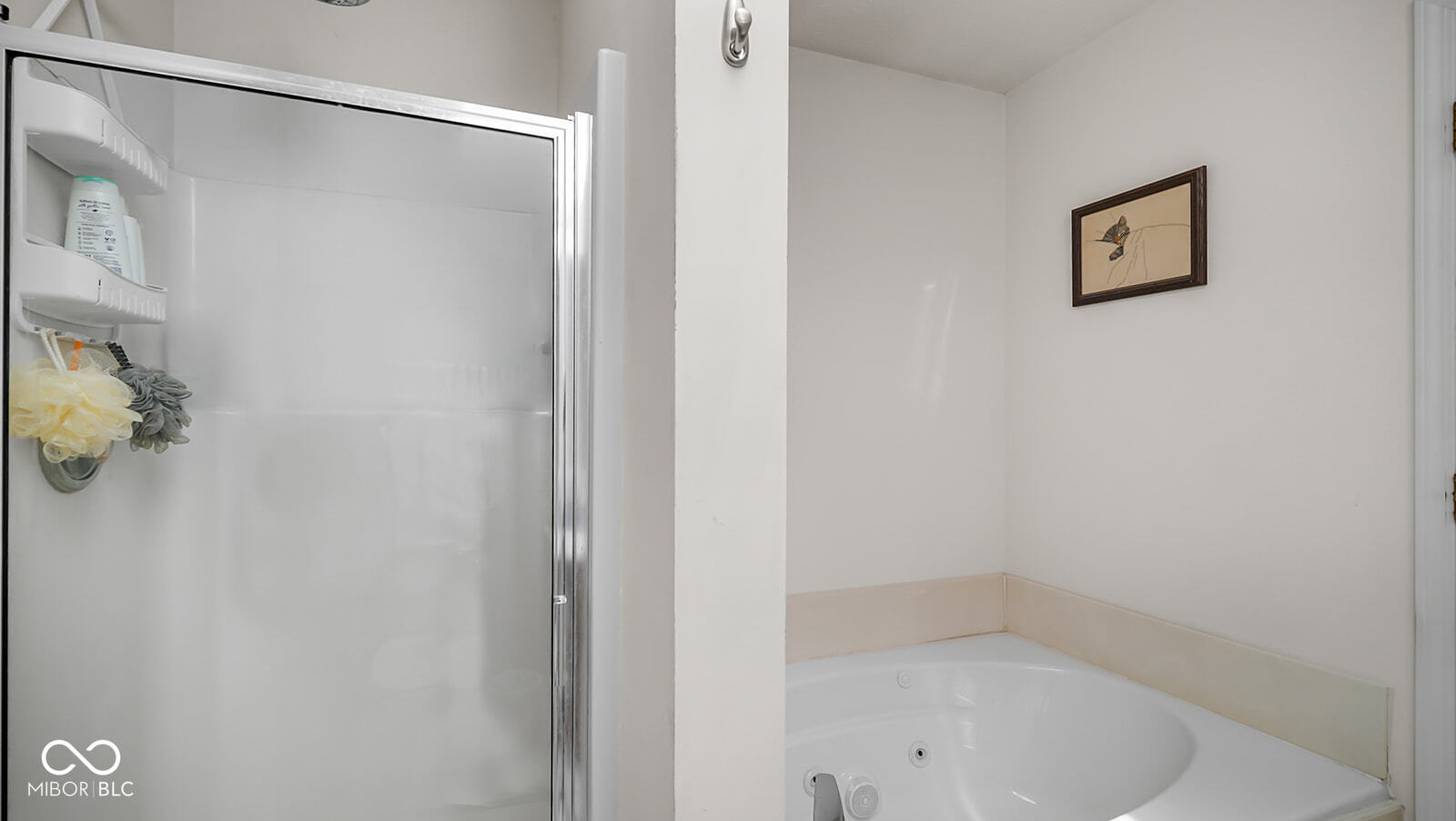 1382 Fall Ridge Drive Brownsburg, IN 46112 - Photo 12 of 40 Gallery Image 12