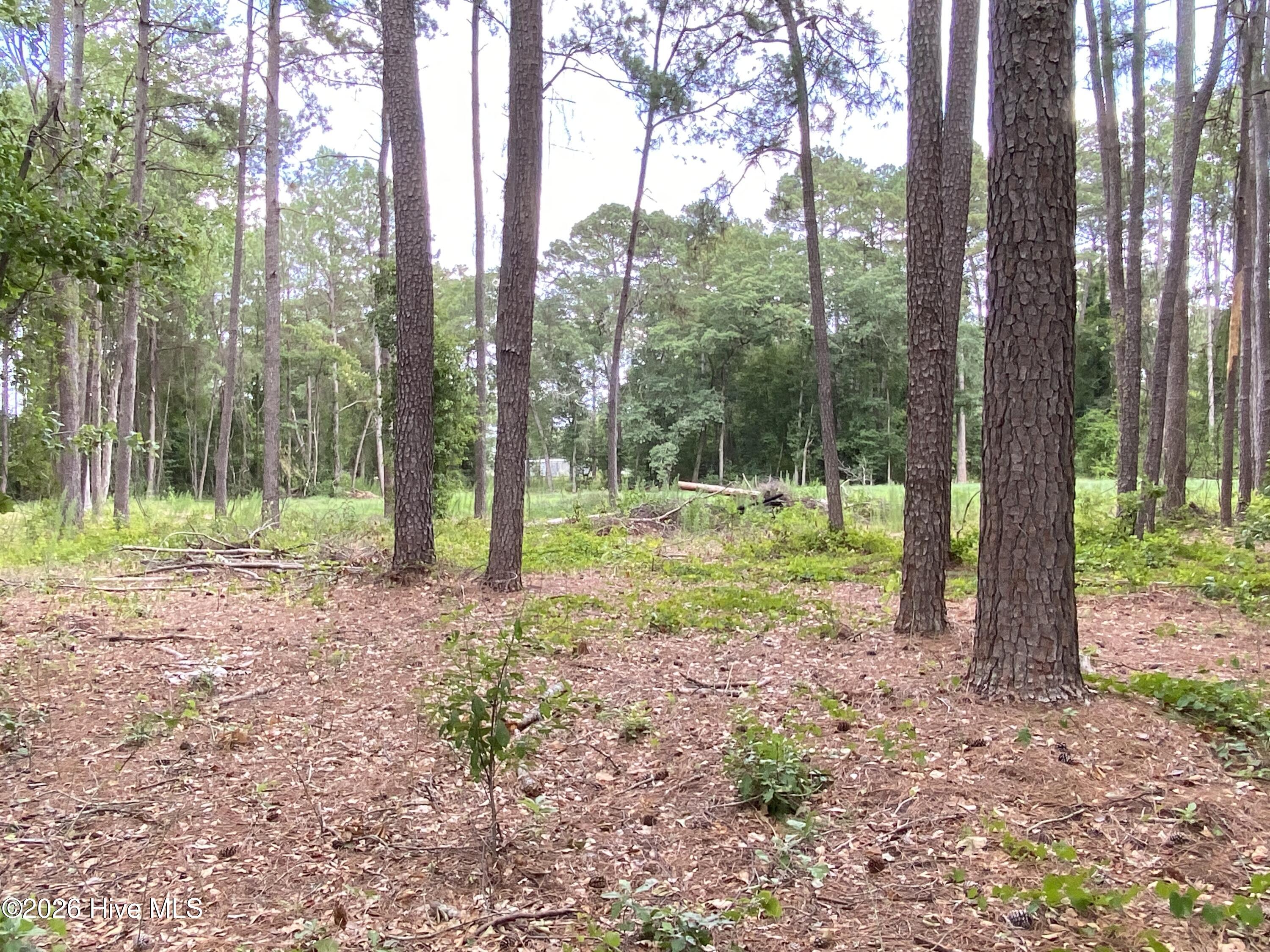 Tbd Hayne Stretch Road Roseboro, NC 28382 - Photo 28 of 31