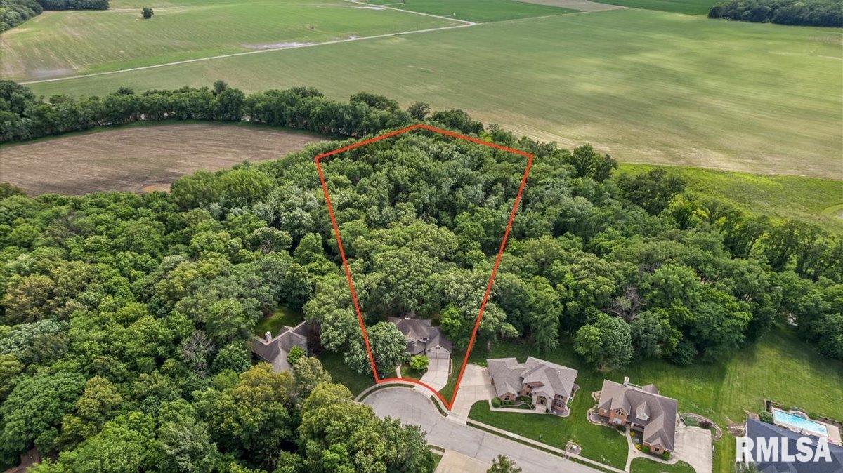 49 Woodland Trail Rochester, IL 62563 - Photo 93 of 98