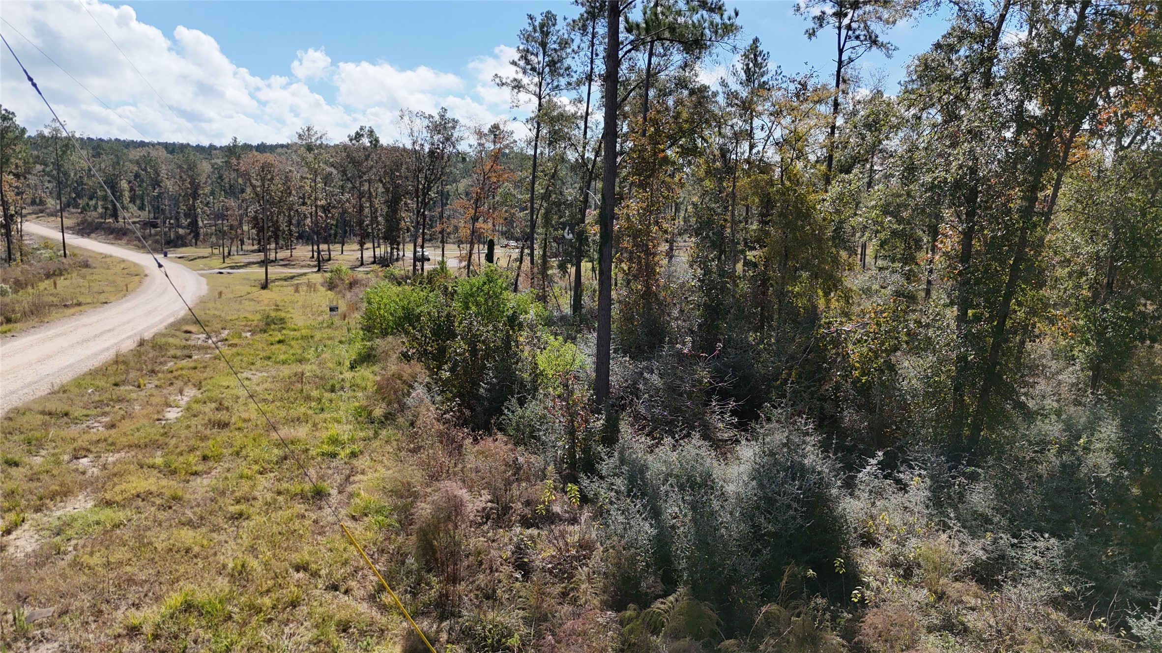 7 Reveille Road Livingston, TX 77351 - Photo 5 of 12