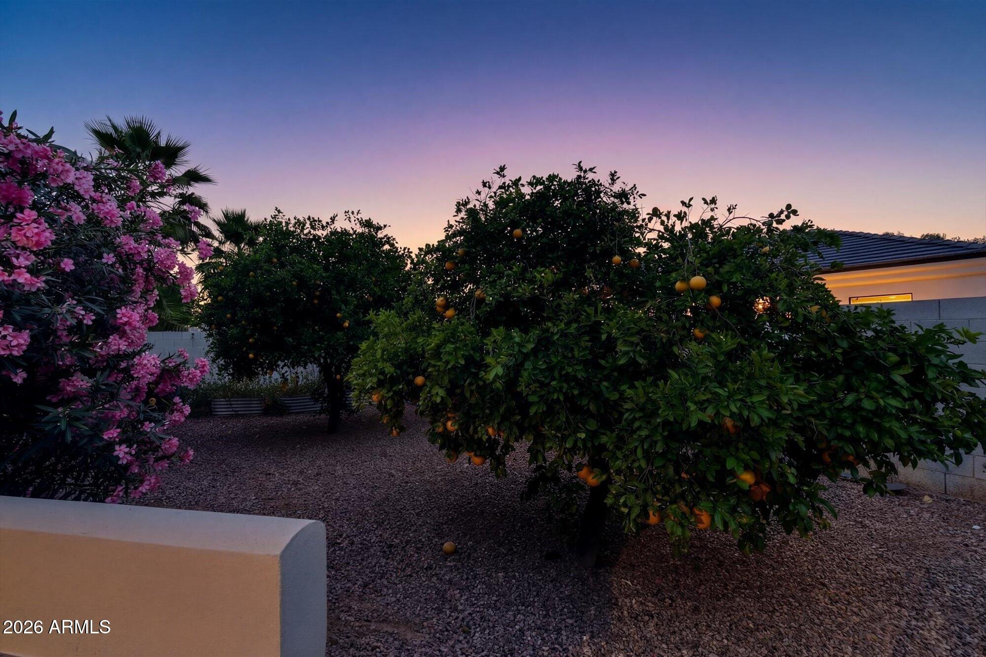 307 South Rochester Court Gilbert, AZ 85296 - Photo 52 of 62 52-