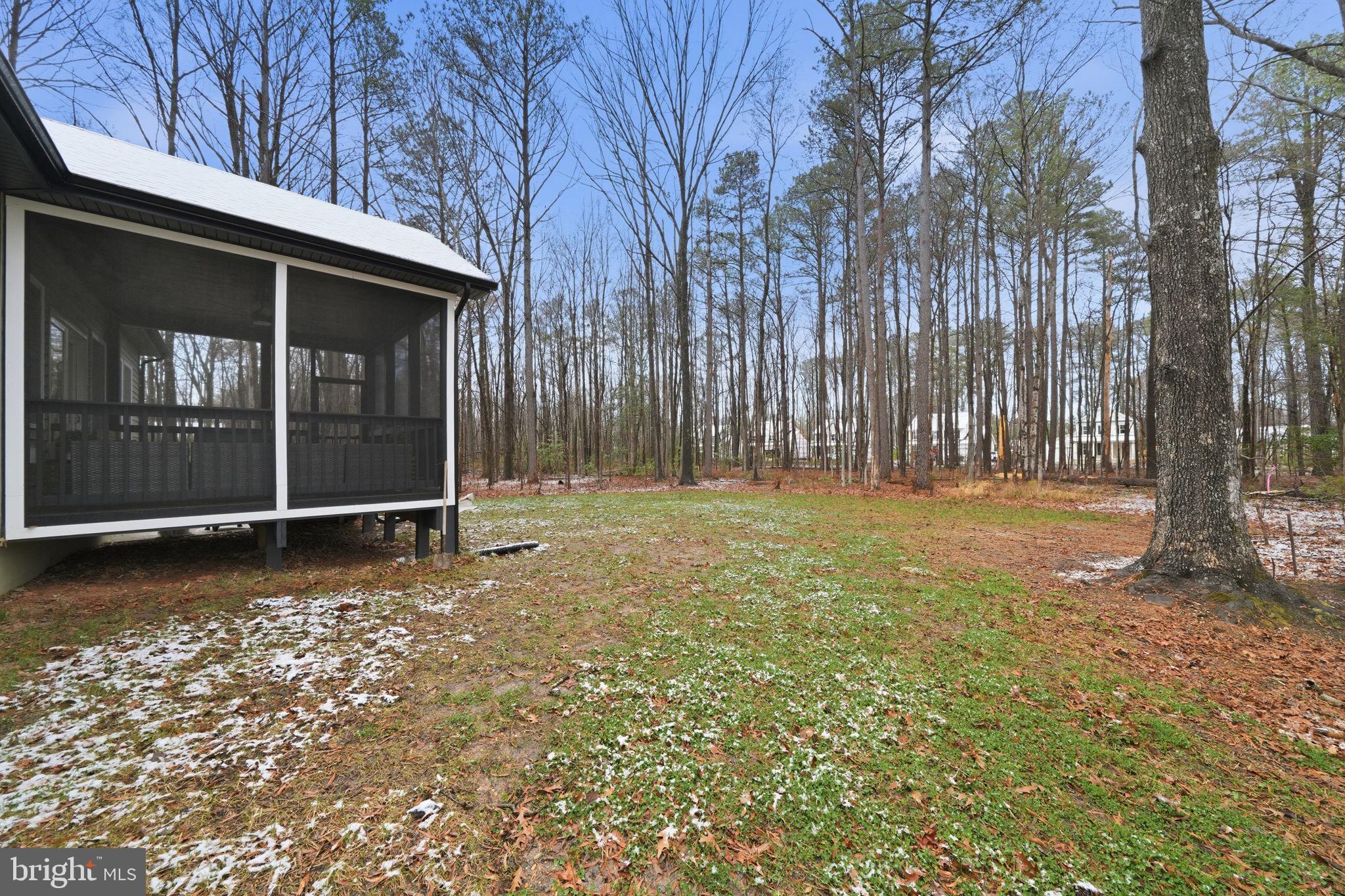 107 Pinewood Lane Colonial Beach, VA 22443 - Photo 22 of 25 a backyard of a house with a large tree