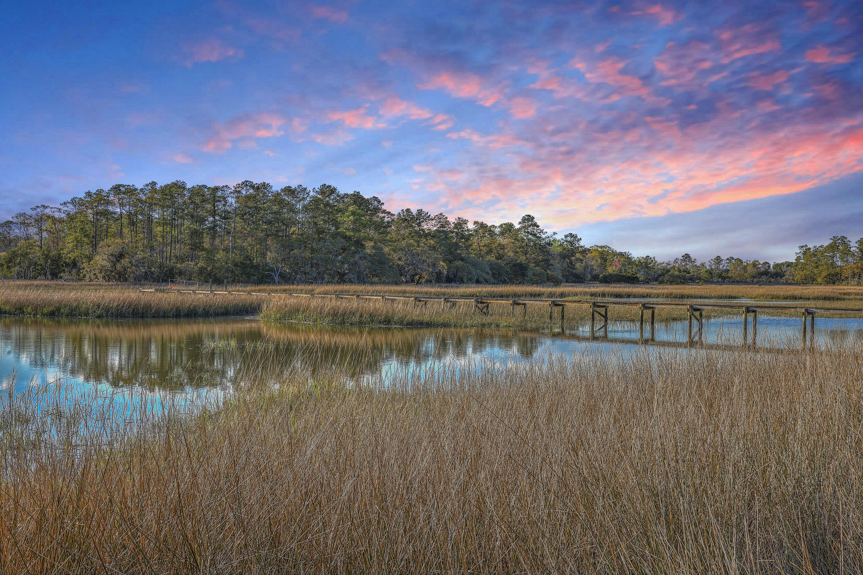 5758 Chisolm Road Johns Island, SC 29455 - Photo 70 of 72 ZYN_44-2