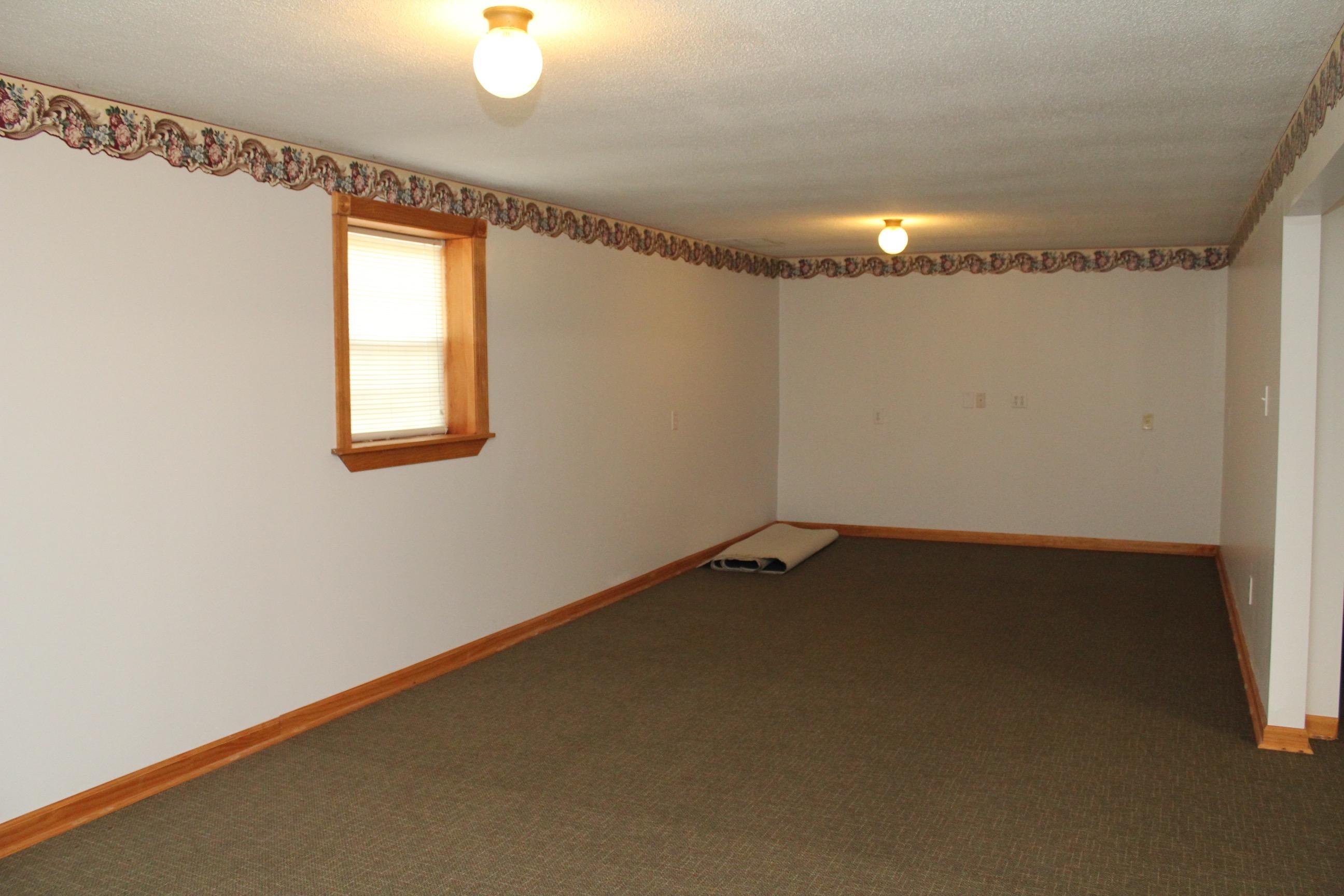 116 Shady Wood Drive Rockingham, NC 28379 - Photo 10 of 19 Basement Bonus