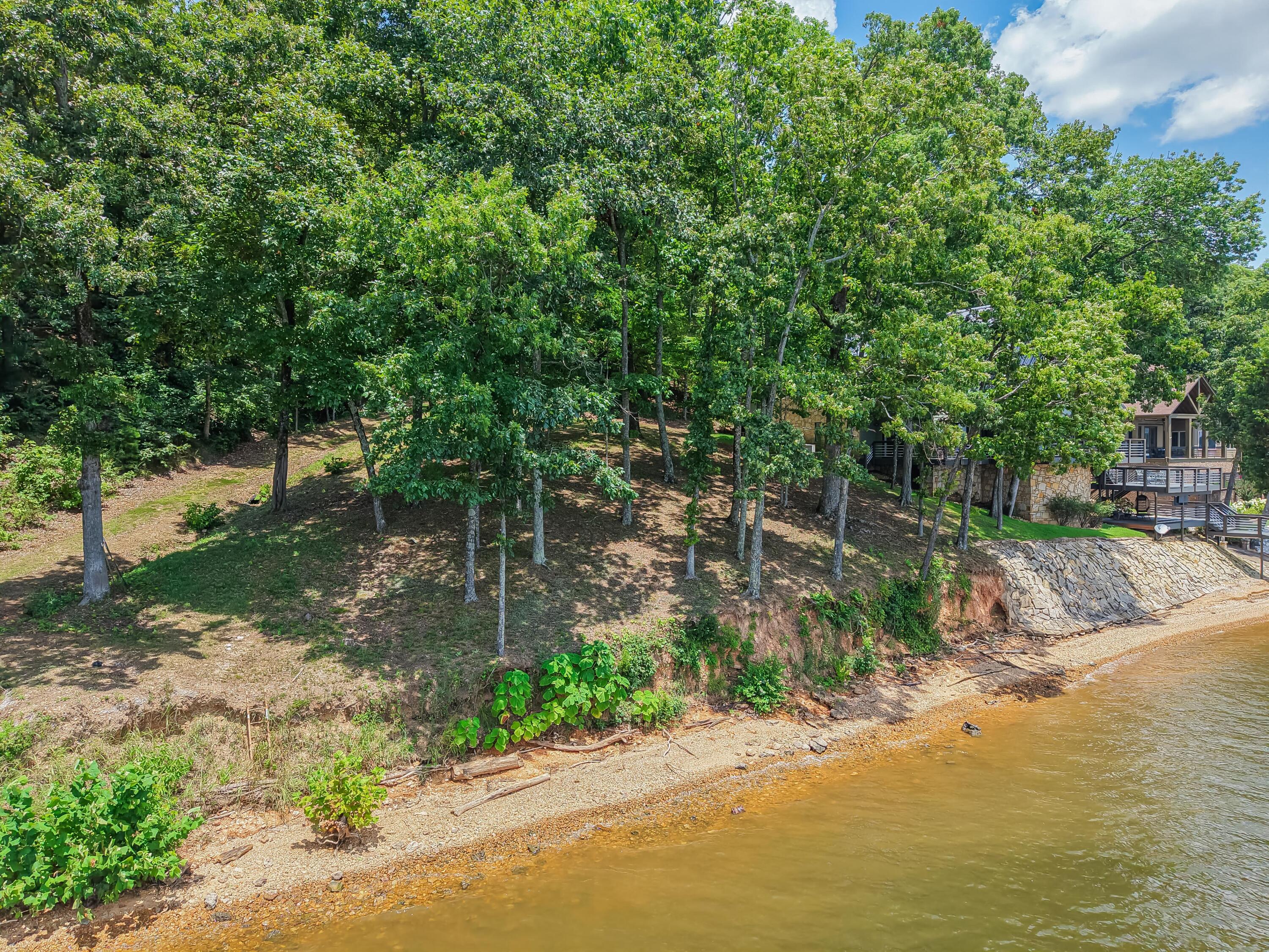 High Grove Road Iuka, MS 38852 - Photo 8 of 32 Gallery Image 8