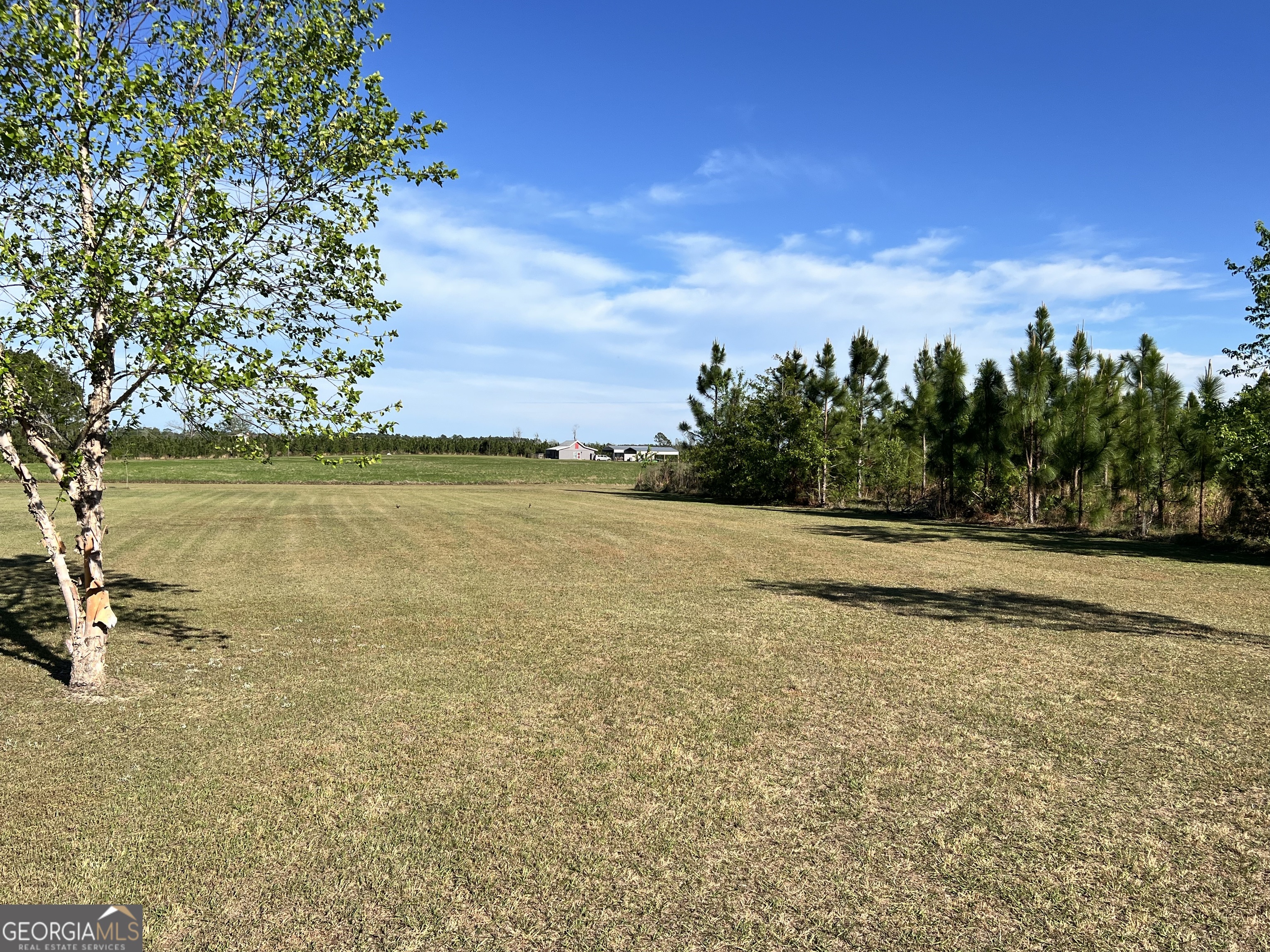 946 Old Savannah Road Ailey, GA 30410 - Photo 27 of 29