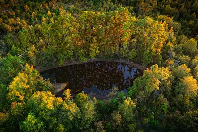 a view of an ocean beach